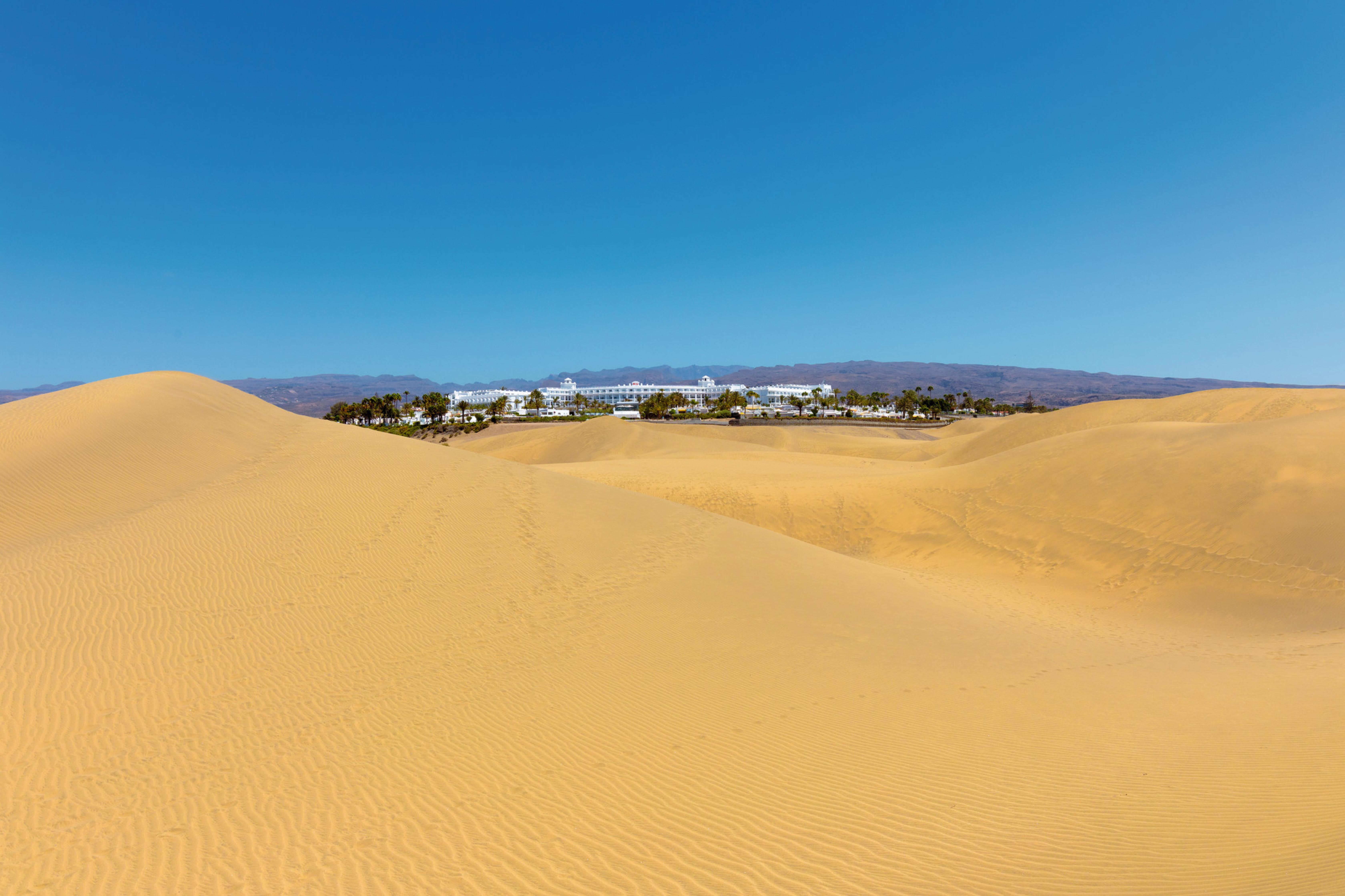 Riu Palace Maspalomas (Adults Only) Buitenkant foto